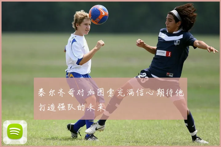 泰尔齐奇对加图索充满信心期待他打造强队的未来