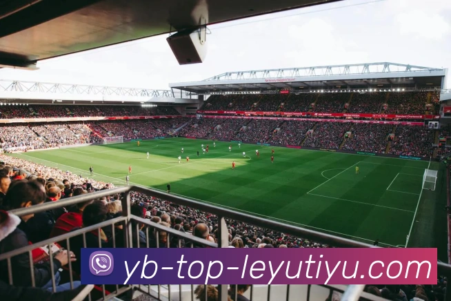 乐鱼体育发展历程